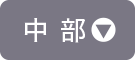 中部