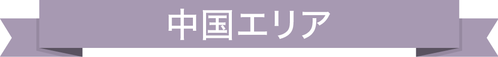 中国エリア